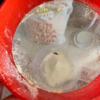 Aldığım Buğday Ununda Böcek Çıkması Ve İlgisiz Müşteri Hizmeti