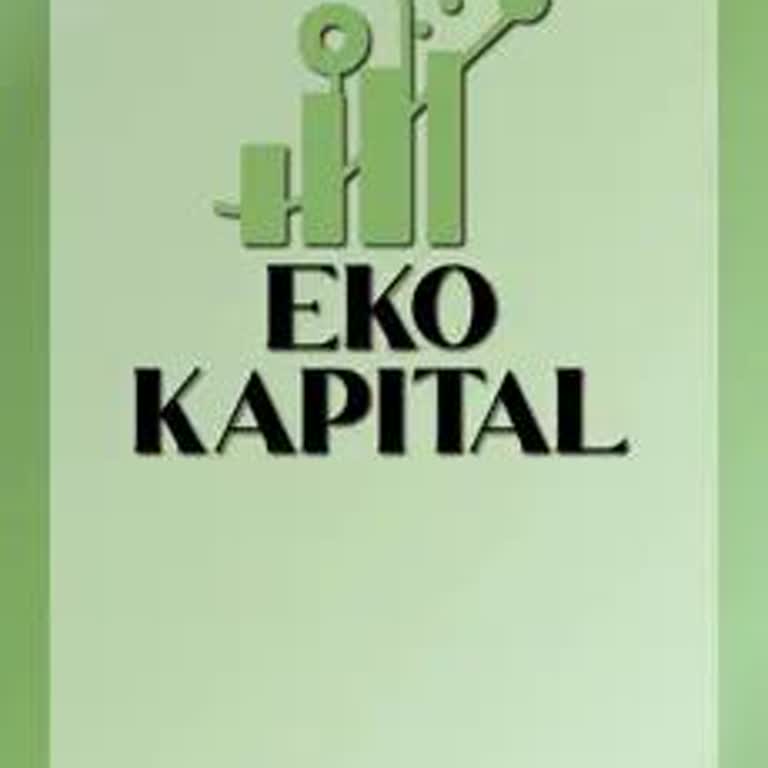 Eko Kapital’de Yatırım Sonrası Tüm Param Sıfırlandı, Para İadesi Yapılmıyor