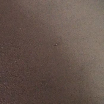 Koltuk Değişimi Bir Aydır Tamamlanmadı, Mağdur Edildim