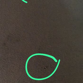 Koltuk Değişimi Bir Aydır Tamamlanmadı, Mağdur Edildim