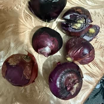 Migros Hemen'den Tekrarlayan Çürük Ürün Sorunu Ve Yetersiz Müşteri Hizmeti