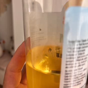 Yudum Ayçiçek Yağında Ambalaj İçinde Böcek Çıkması Ve Hijyen Endişesi