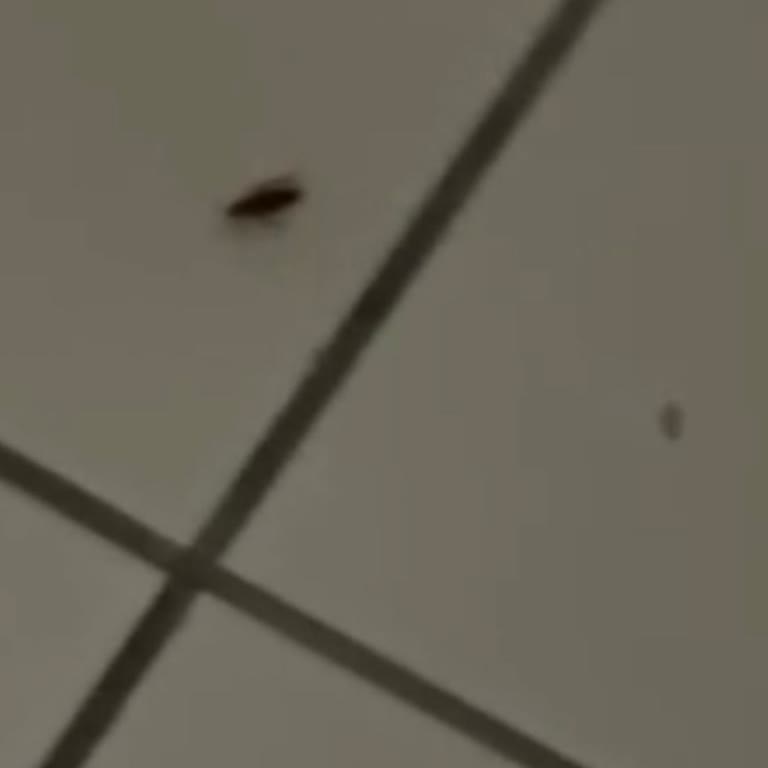 Marmaris Turu Ve Grand Faros Otelinde Hayal Kırıklığı