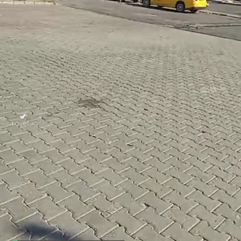 Çorlu Belediyesi Halk Sağlığına Önem Verilmiyor
