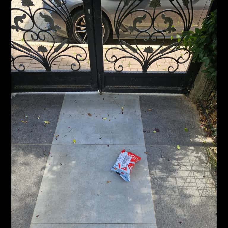 Kargo Paketi Bahçeye Fırlatıldı, Tekrarlanan Teslimat Sorunu