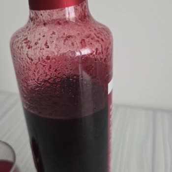 Karadut Özünde Tat, Kıvam Ve Güvenlik Sorunu