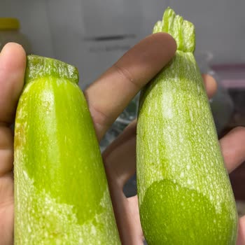 Sıfır Alınan Profilo Buzdolabında Sürekli Soğutma Ve Arıza Sorunu