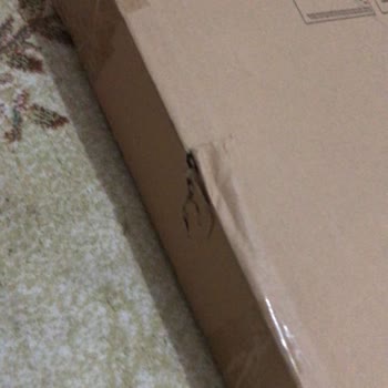 Kargo Kutularındaki Hasar İçin Tutanak Tutulmadı, Mağduriyet Yaşamak İstemiyorum