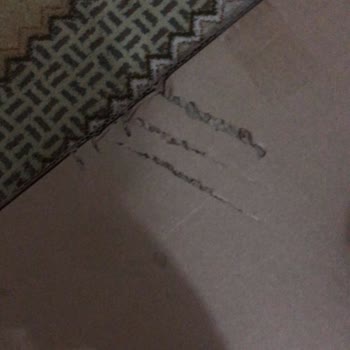 Kargo Kutularındaki Hasar İçin Tutanak Tutulmadı, Mağduriyet Yaşamak İstemiyorum