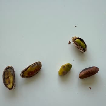 Aldığım Antep Fıstıklarının Çoğu Bozuk Ve Kurtlu Çıktı, Ücret İadesi Talep Ediyorum