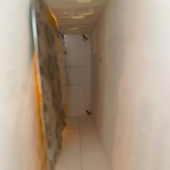 Aldığım Üründe Ölü Kelebek Ve Paket Hasarı Şoku