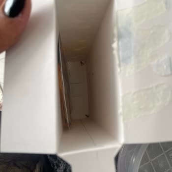 Aldığım Üründe Ölü Kelebek Ve Paket Hasarı Şoku