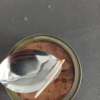 Ton Balığı Konservesinden Büyük Kemik Parçası Çıktı!