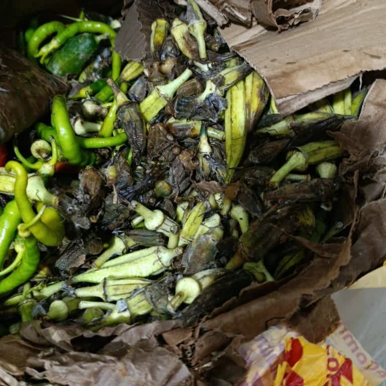 DHL Ecommerce Türkiye Mağduriyetin Giderilmesini Ödediğim Kargo Ücretinin İadesini Talep Ediyorum