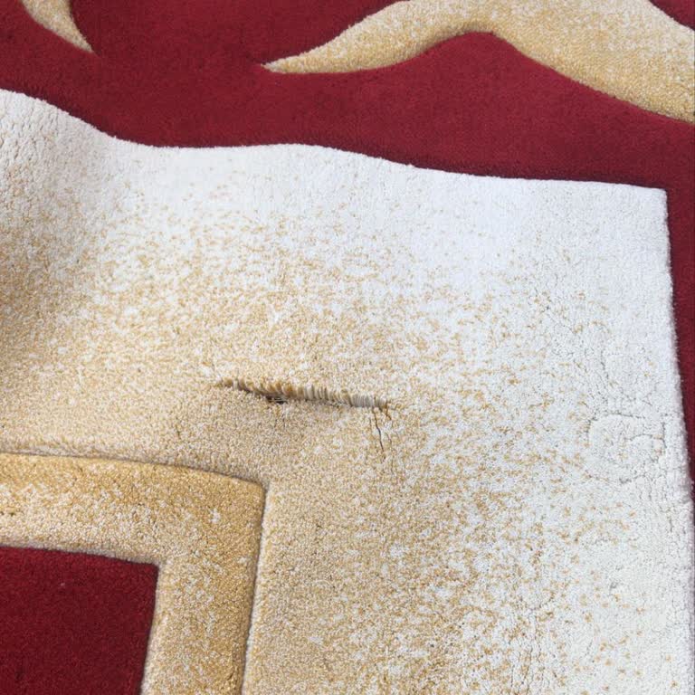 Gündüz Halı Yıkama Halı Yıkama Sonrası Halım Kesik Ve Kirli Teslim Edildi