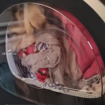 Bosch Kurutma Makinesi Ses Sorunu