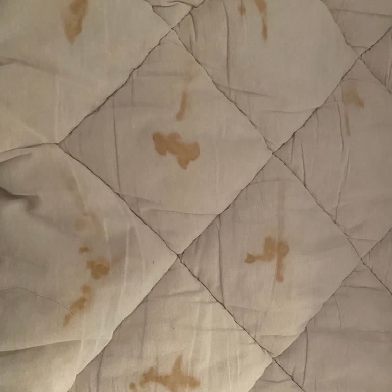 Yün Yatak Pedi Yıkamada Lekelenme Ve İlgisiz Müşteri Hizmeti