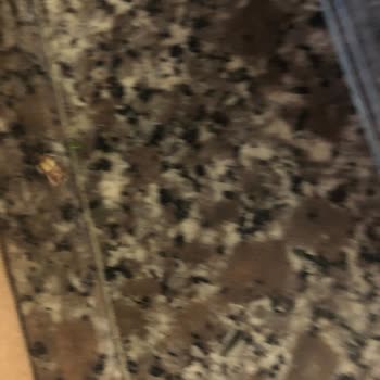 Tatlımar Bayat ve Böceklenmiş Cezerye, Ücret İadesi Talebim Reddedildi