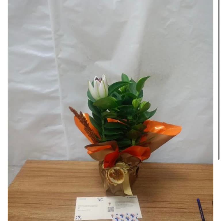 Yanıltıcı Görsel Ve Onayım Dışında Teslimat: İade Talebim Reddedildi