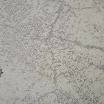 Aksoy Halı Yıkama | Bursa Temizlik Hizmetinden Kesinlikle Memnun Kalmadım!