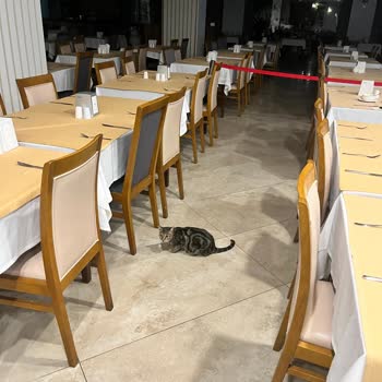 Tatilbudurdan Güvenerek Yaptığım Rezervasyon Tam Bir Hayal Kırıklığı Oldu