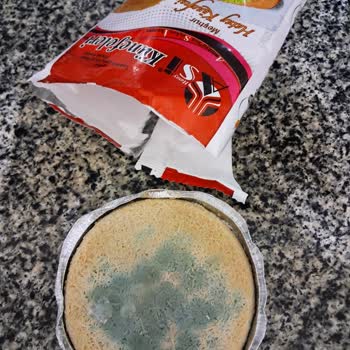 Aldığım Donuk Künefe Bozuk Çıktı, Üzerinde Küf Vardı