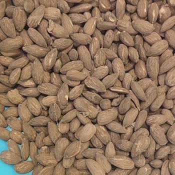 Satın Aldığım Badem İçinden Kurt Ve Kelebek Çıktı, Ürün Değişimi Talep Ediyorum