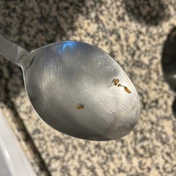 Mutlu Makarna Ürünlerinde Tekrarlayan Böcek Ve Yumurtalar: Gıda Güvenliği Tehlikesi