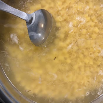 Mutlu Makarna Ürünlerinde Tekrarlayan Böcek Ve Yumurtalar: Gıda Güvenliği Tehlikesi