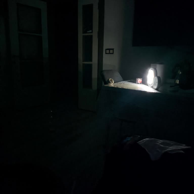 Uzun Süren Elektrik Kesintisi Engelli Aileyi Mağdur Ediyor