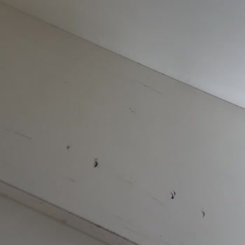 Hasarlı Ve Kalitesiz Mobilya Teslimatı, İlgisiz Müşteri Hizmeti