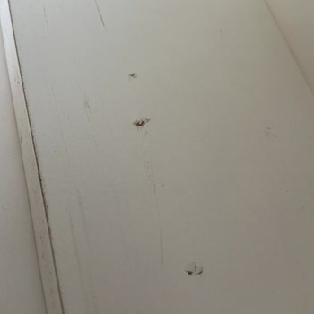 Hasarlı Ve Kalitesiz Mobilya Teslimatı, İlgisiz Müşteri Hizmeti