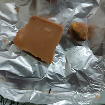 Aldığım Çikolatanın İçinden Böcek Çıktı, Sağlığım Tehlikeye Girdi