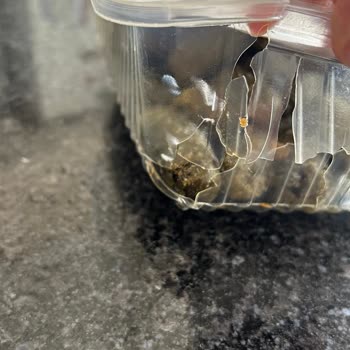 Yüksek Tutarla Aldığım Siparişlerde Ciddi Teslimat Ve İlgisizlik Sorunu