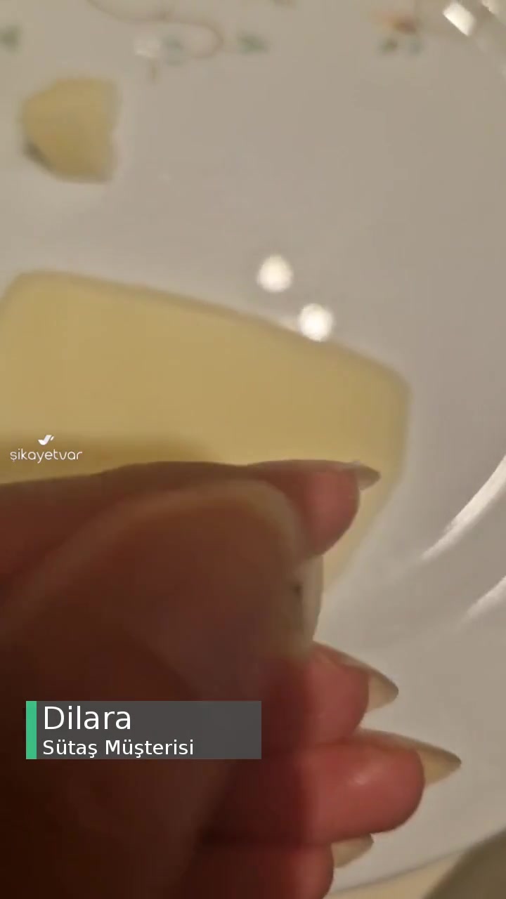 Sütaş Kaşar Peynir İçinden Çıkan Ne Olduğu Belirsiz Yabancı Madde! videonun kapak resmi