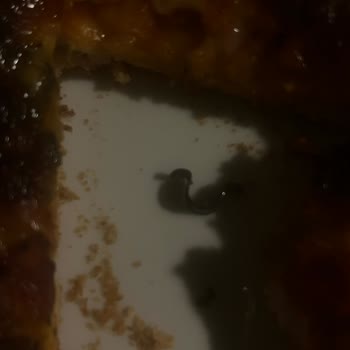 Hazır Pizza Ürününde Yabancı Madde ve Sağlık Sorunu Şikayeti