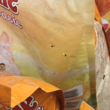 Kedi Maması Paketleri Yırtık Ve Çalışanların Üslubu Rahatsız Edici