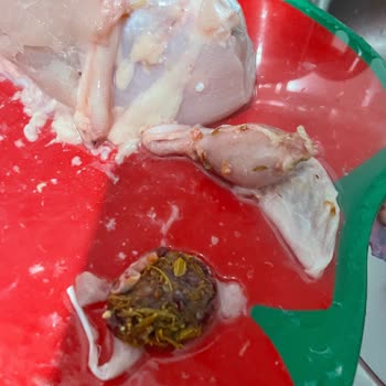 BİM’den Aldığım Tazem Tavuk Hijyen Sorunu Nedeniyle Güvenimi Zedeledi