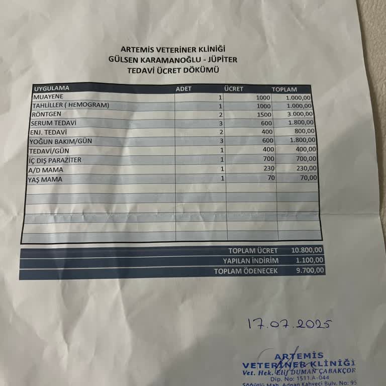 Yetersiz Hizmet, Yüksek Ücret Ve Faturasız İşlem Nedeniyle Ücret İadesi Talebi