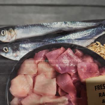 Acana Mama Kedi Mamasında Taş Çıkması Nedeniyle Güven Kaybı Ve Açıklama Talebi