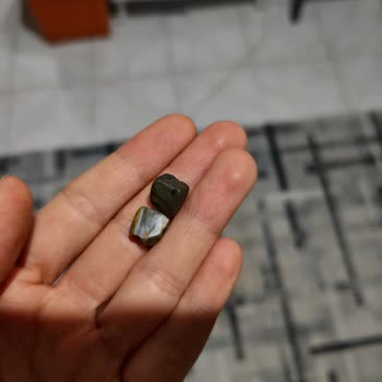 Acana Mama Kedi Mamasında Taş Çıkması Nedeniyle Güven Kaybı Ve Açıklama Talebi