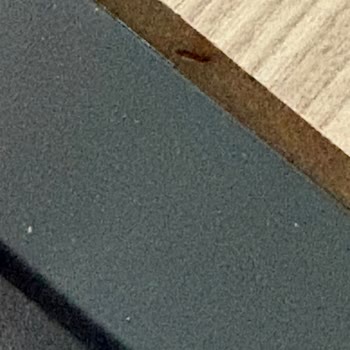 Bambi Baza Takımında Sürekli Böceklenme Ve Yetersiz Müşteri Hizmeti