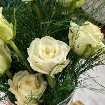 Solmuş Ve Bozulmuş Çiçekler, Eksik Teslimat Ve Yetersiz Çözüm