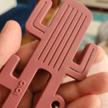 Oioi Kaktüs Diş Kaşıyıcı Hijyen Sorunu: Sürekli Tüy Ve Toz Topluyor