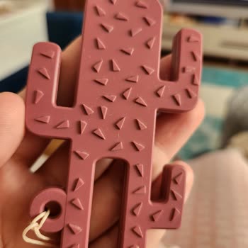 Oioi Kaktüs Diş Kaşıyıcı Hijyen Sorunu: Sürekli Tüy Ve Toz Topluyor