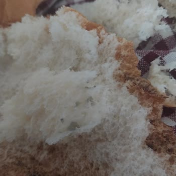 Sandviç Ürününde Yabancı Madde Tespiti Hakkında Şikayet