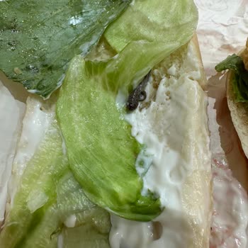 Siparişimde Hijyen Sorunu Ve Ücret İadesi Problemi Yaşadım