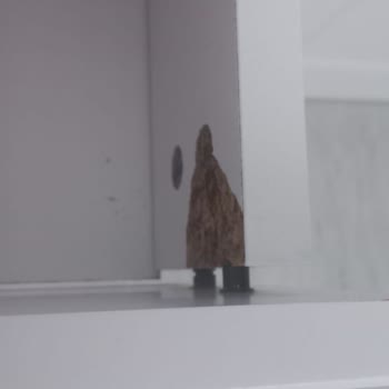 Garanti Kapsamında Olmasına Rağmen Ücretli Parça Talebi