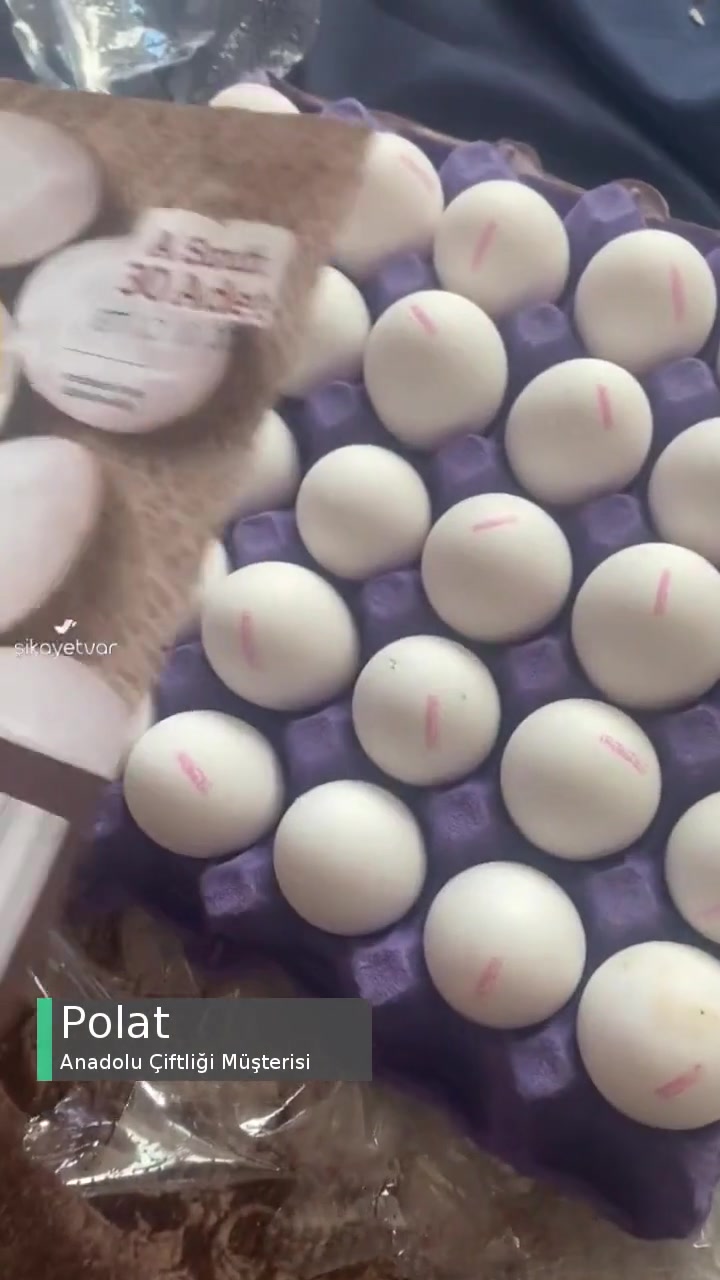 Anadolu Çiftliği Küçük Yumurta videonun kapak resmi