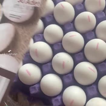 Anadolu Çiftliği Küçük Yumurta